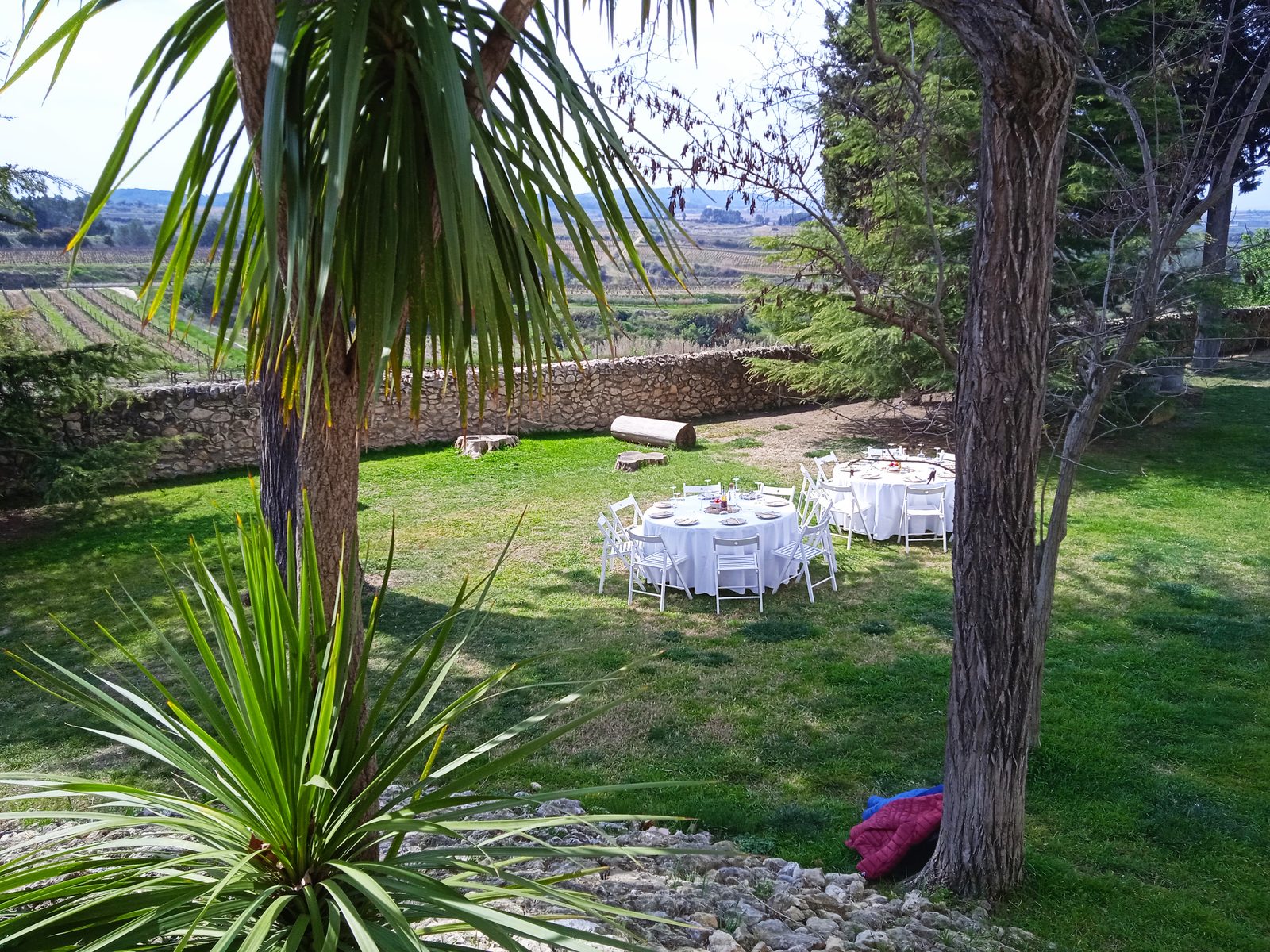 Mesas redondas puestas en el jardín de Albet i Noya, a la sombra de los árboles y con las viñas al fondo