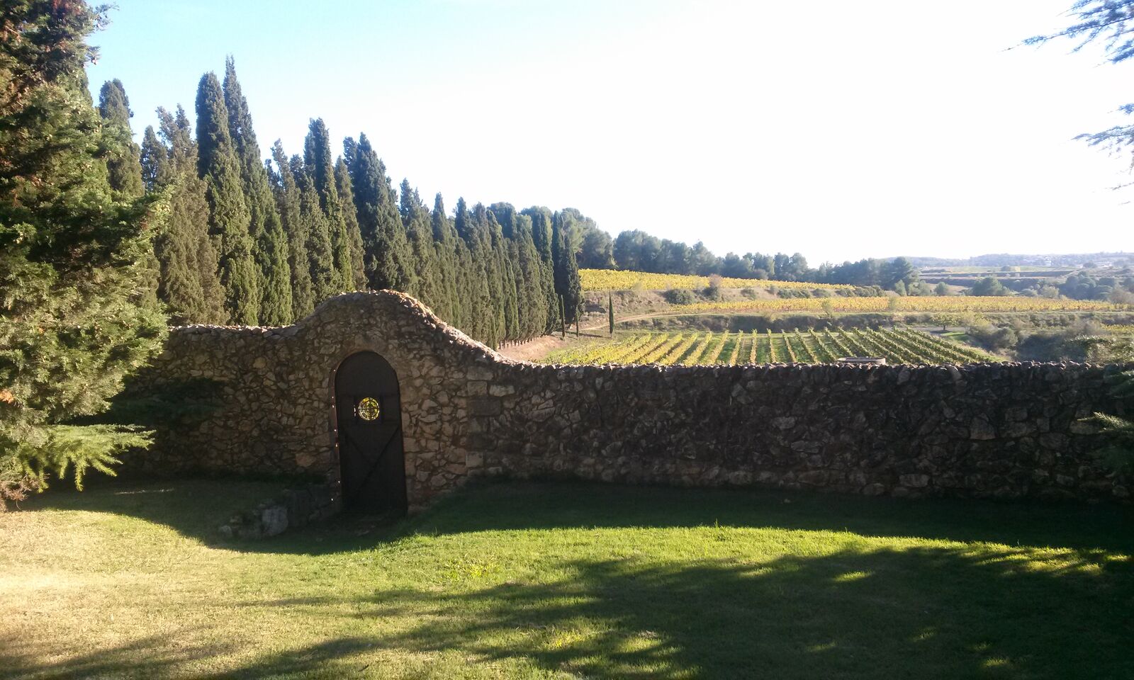 Muro de piedra con una puerta, cipreses y viñas en Albet i Noya
