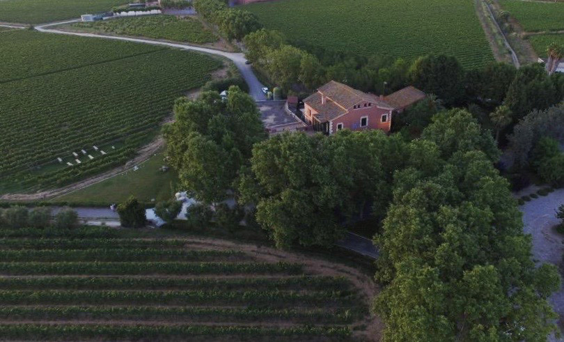 Vista aérea de La Torre del Gall rodeada de viñedos y arboleda